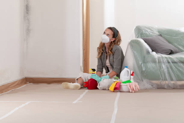 Reliable Mold Cleanup contractor in Venice, IL by WQB Mold Removal